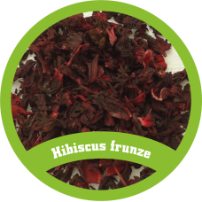 Hibiscus Frunze